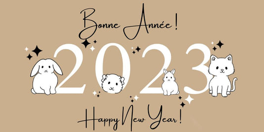 Bonne année 2023 !