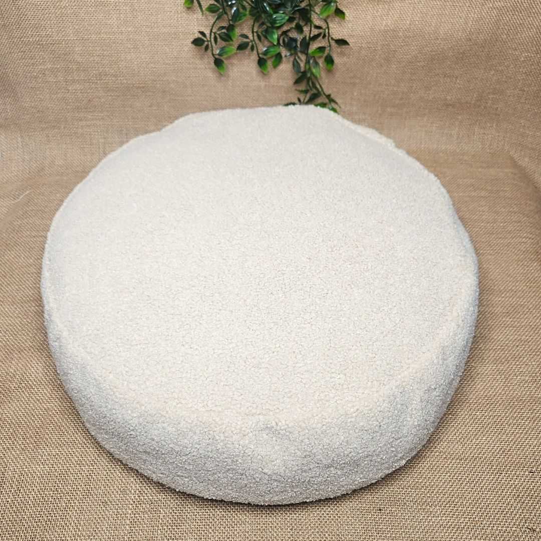 WATERPROOF Coral Frog Cushion