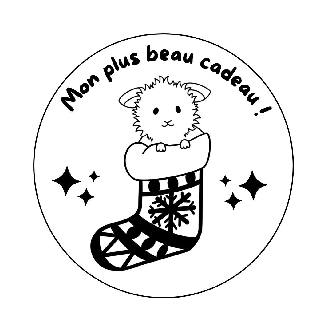 Magnet Noël Lapin - Gravure au choix