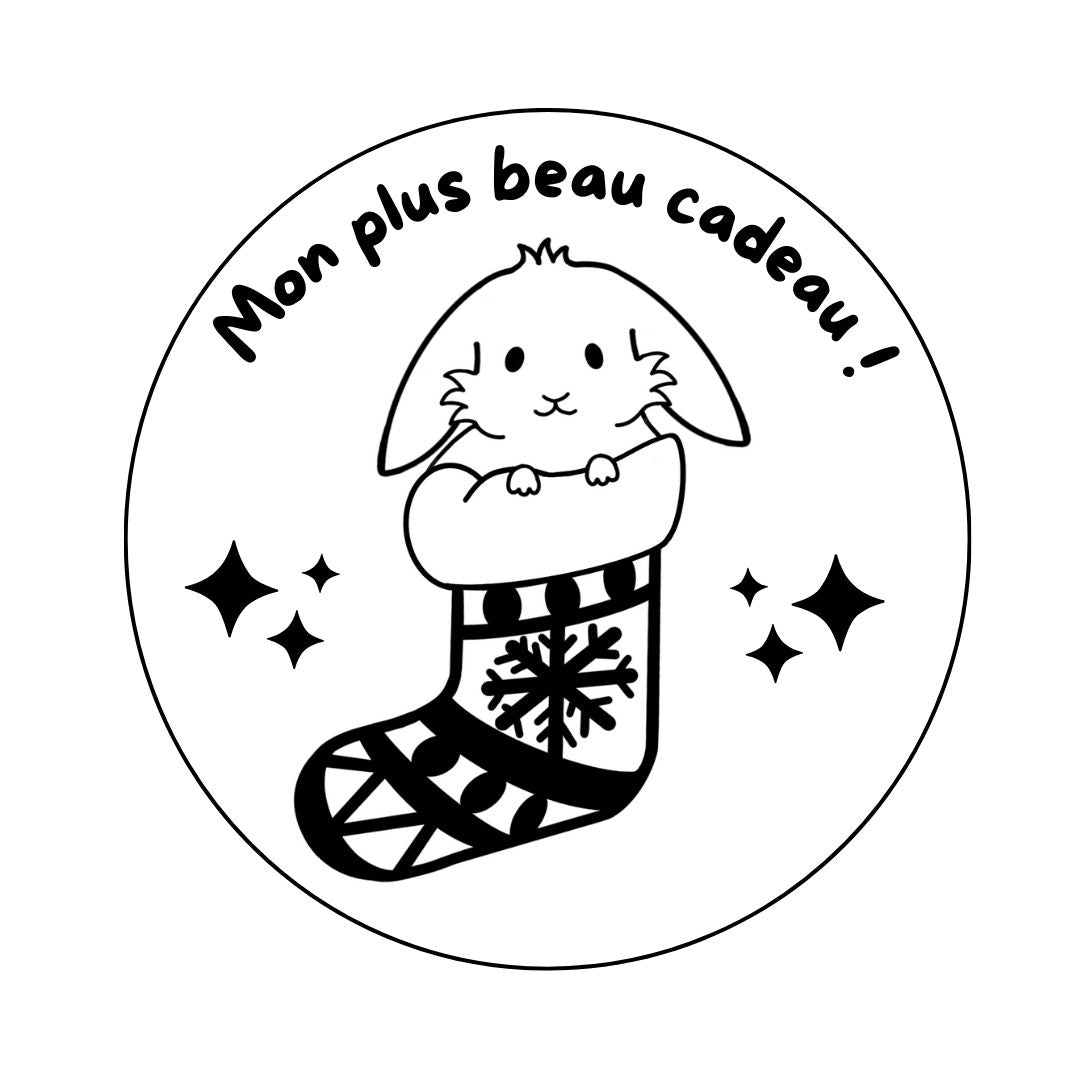 Magnet Noël Lapin - Gravure au choix