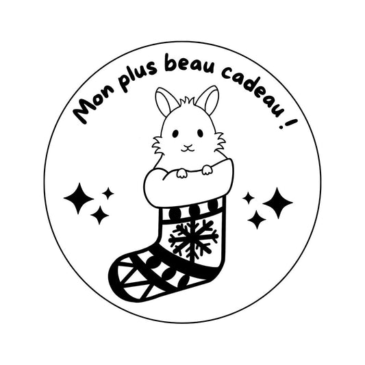 Magnet Noël Lapin - Gravure au choix