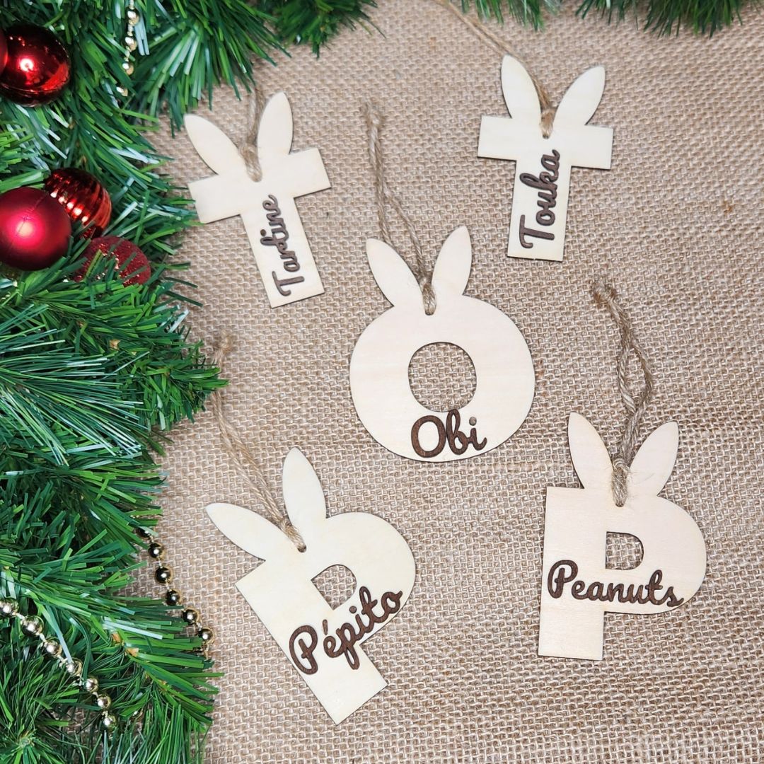 Suspension initiale lapin