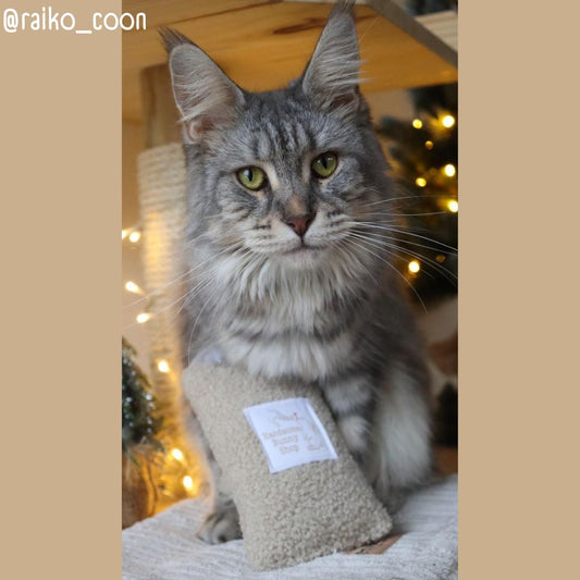 Joujou pour chat - Moumoute