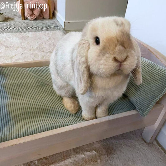 IKEA bed set - Cushion + Baby fruits waterproof mat