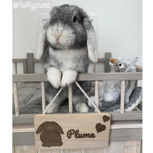 Personalized rectangular sign SOLO - Several possible illustrations (Light wood)