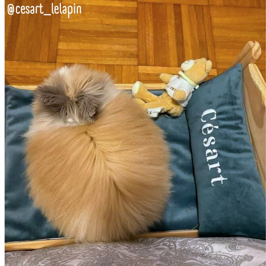 IKEA bed set - Cushion + Baby fruits waterproof mat