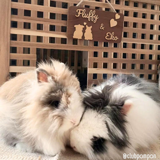 Personalized Lovers Rectangular Sign - Multiple Illustration Options (Dark Wood)