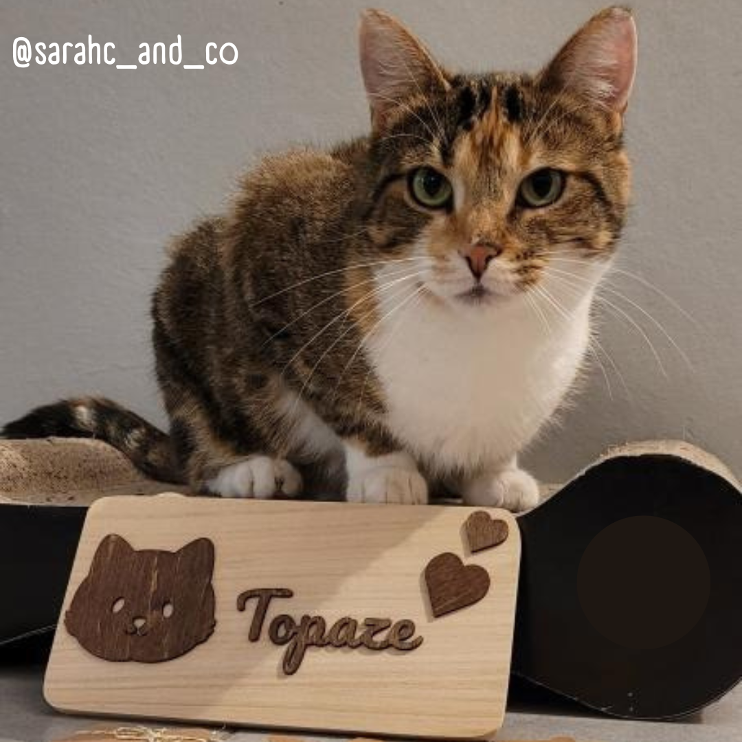 SOLO Personalized Rectangular Sign - Multiple Artwork Options (Dark Wood)