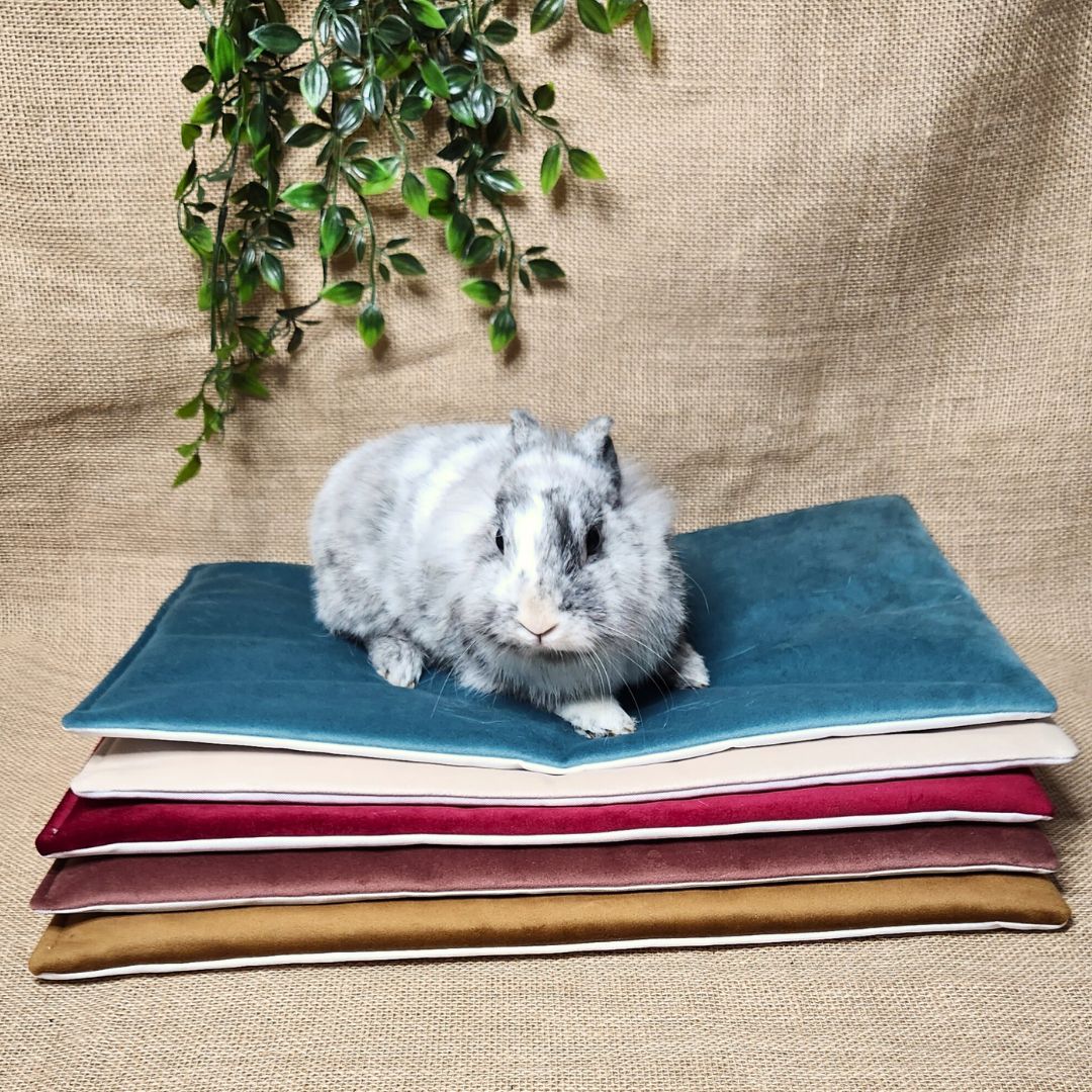 Tapis de sol IMPERMEABLE - Velours lisse