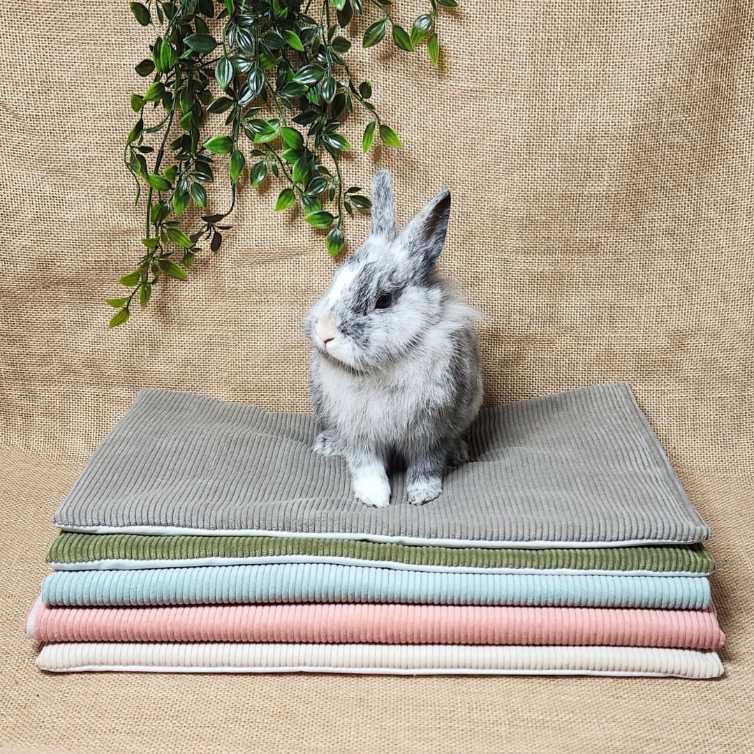 Tapis de sol IMPERMEABLE - Velours côtelé
