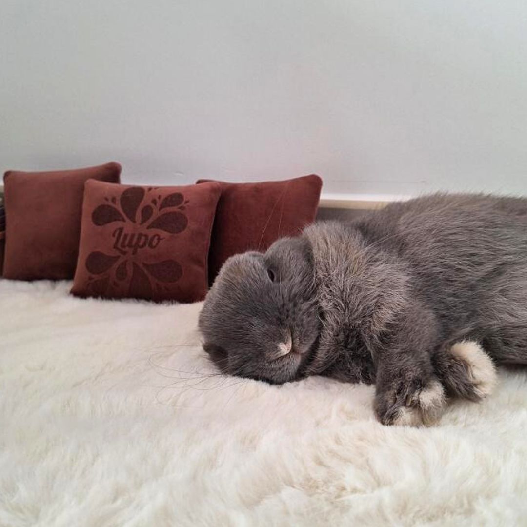 TRIO mini coussin