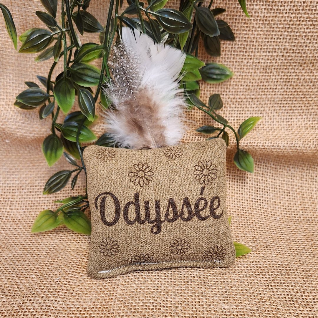 Joujou pour chat - Lainage