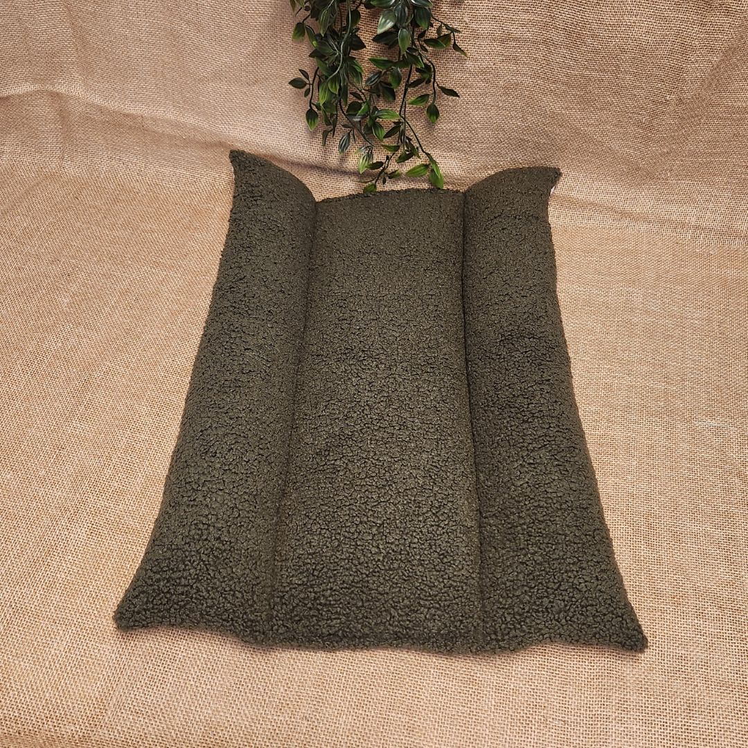 Coussin Grenouille pour Chat
