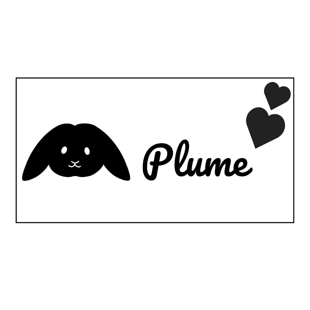 Personalized rectangular sign SOLO - Several possible illustrations (Light wood)
