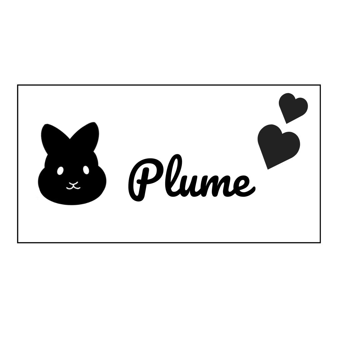SOLO Personalized Rectangular Sign - Multiple Artwork Options (Dark Wood)