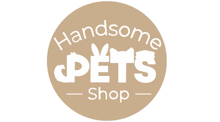 Handsome Pets Shop, l'artisanat français au service de vos animaux