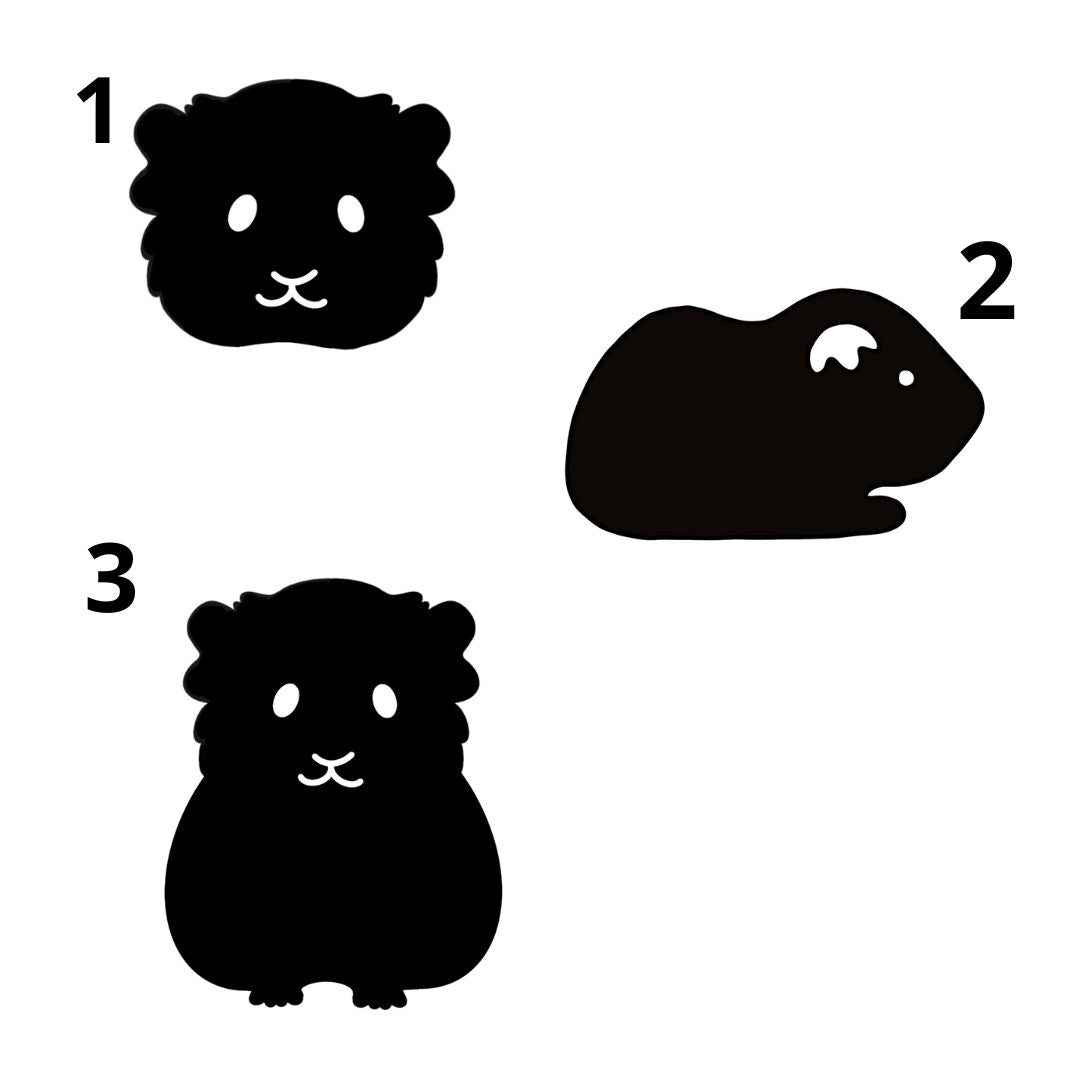 Pancarte rectangulaire personnalisée Cochon d'inde SOLO - (Bois foncé ou clair)