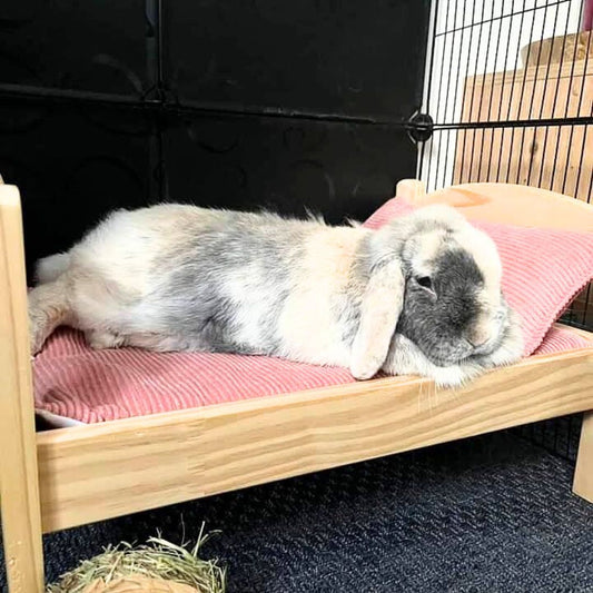 Ensemble lit IKEA - Coussin + Tapis imperméable Velours côtelé rose