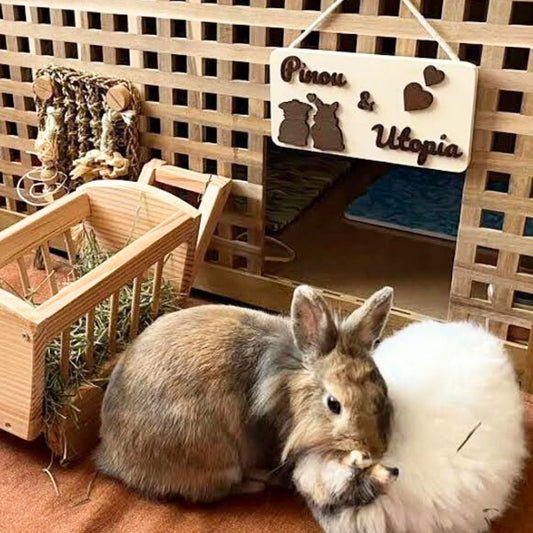 Personalized Lovers Rectangular Sign - Multiple Illustration Options (Light Wood)