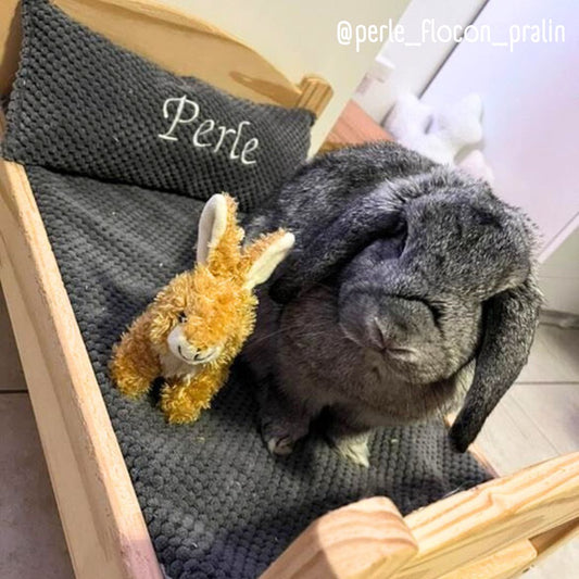 IKEA bed set - Cushion + Baby fruits waterproof mat