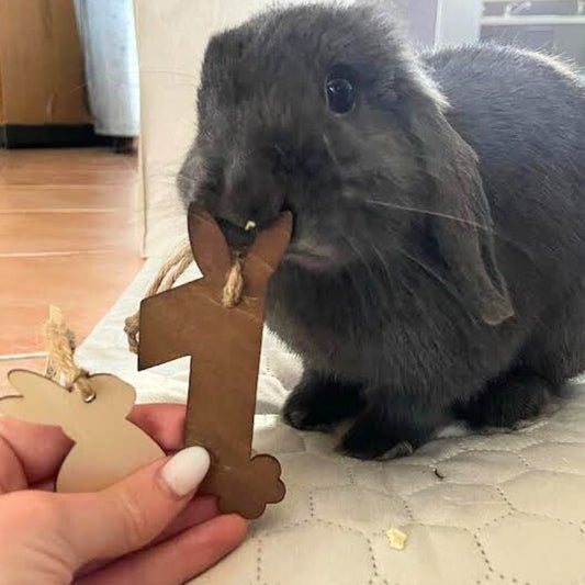 Suspension Chiffre en bois Lapiversaire đ - Bois clair ou bois foncĂ©