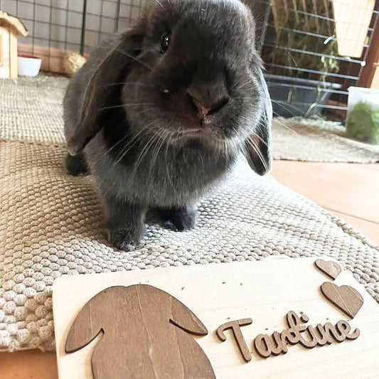 Personalized rectangular sign SOLO - Several possible illustrations (Light wood)