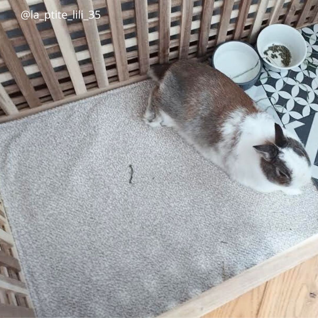Tapis de protection pour meuble litière IKEA - 100% imperméable