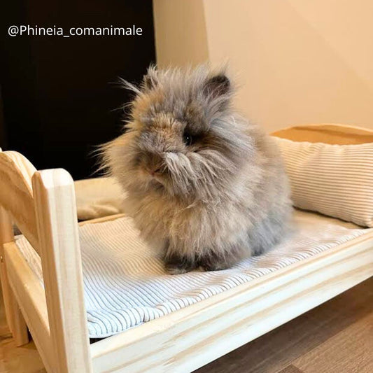 IKEA bed set - Cushion + Baby fruits waterproof mat