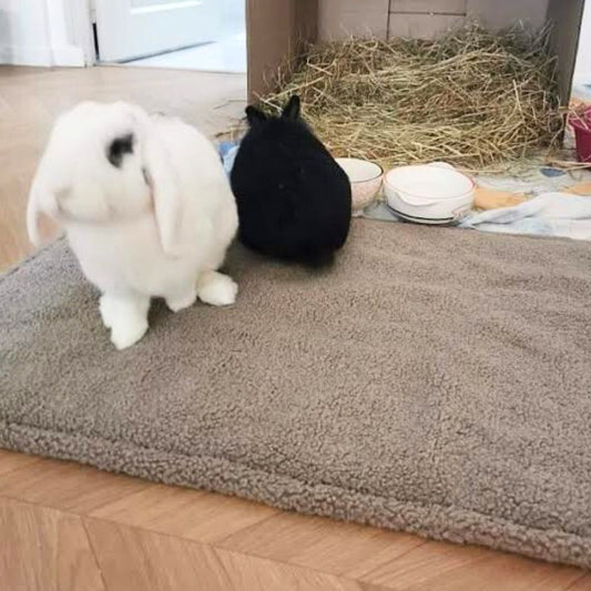 Tapis de sol IMPERMEABLE - Moumoute