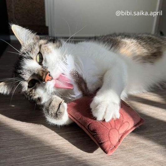 Joujou pour chat - Velours lisse