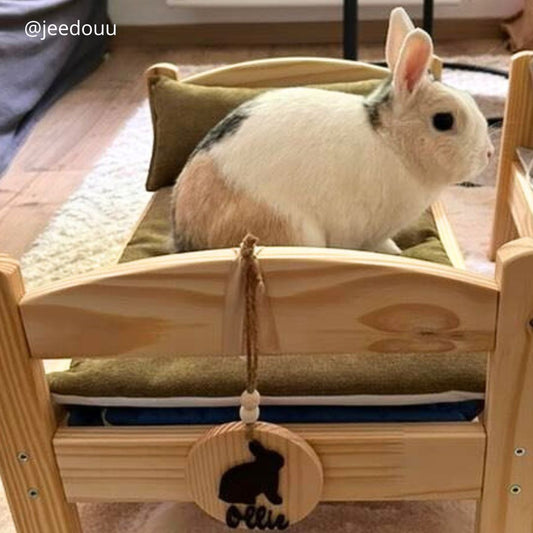 IKEA bed set - cushion + waterproof rug in olive wool