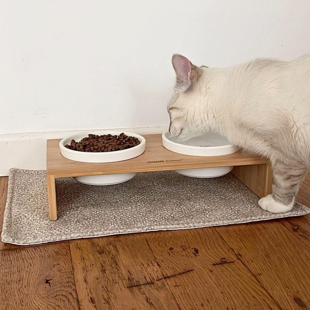 Tapis à gamelle IMPERMEABLE - Velours alvéolé