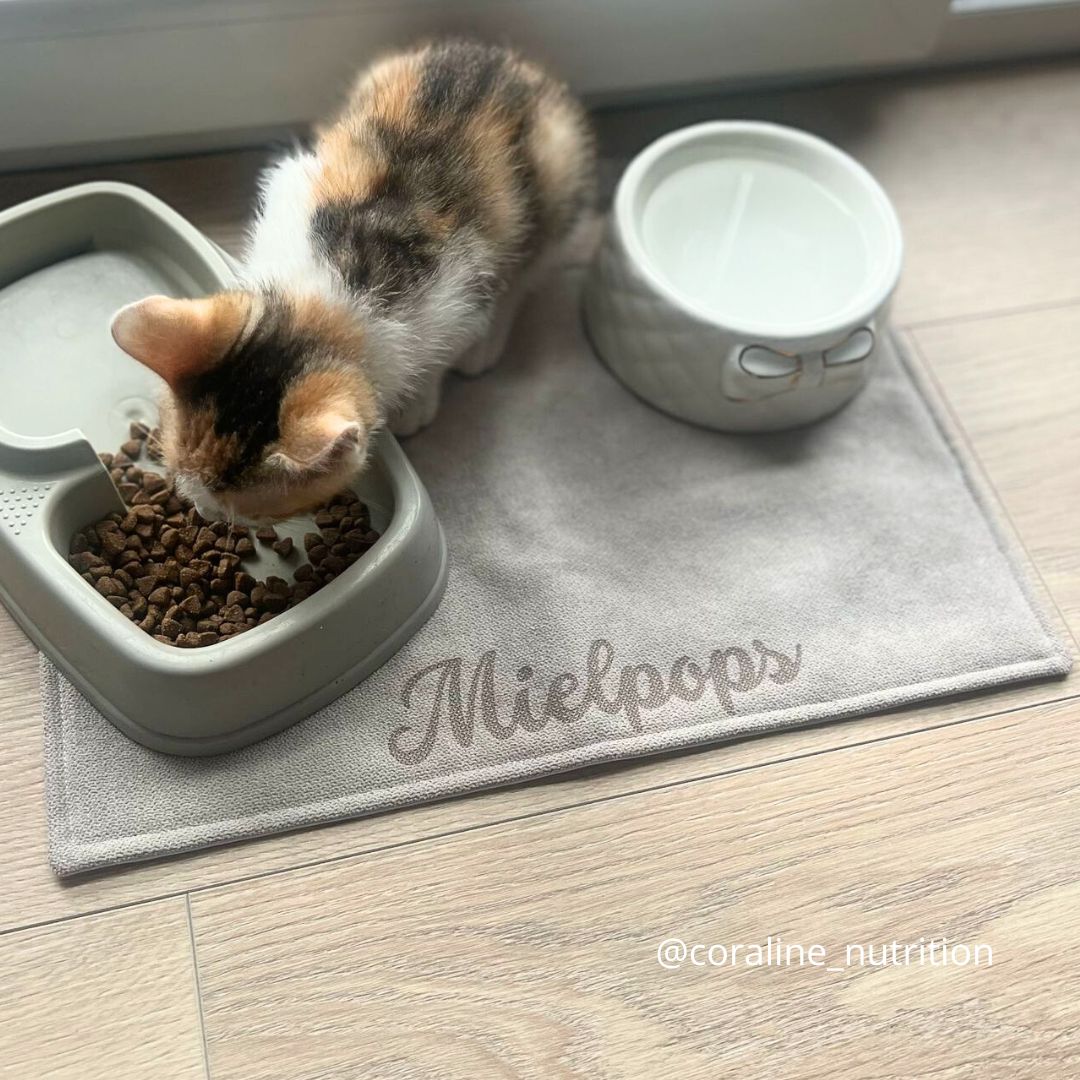 Waterproof Cat Bowl Mat - Thread Embroidered