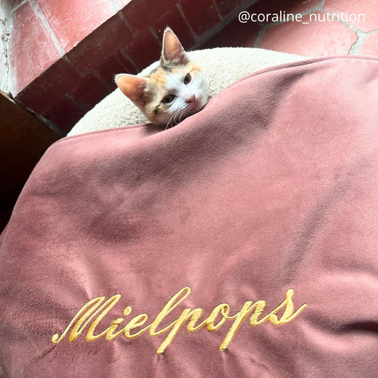 Couverture Velours lisse et polaire effet fourrure blanche