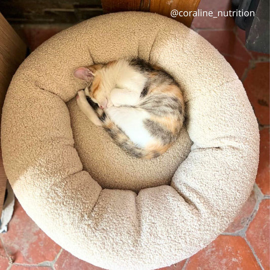 Cocon PREMIUM pour chat