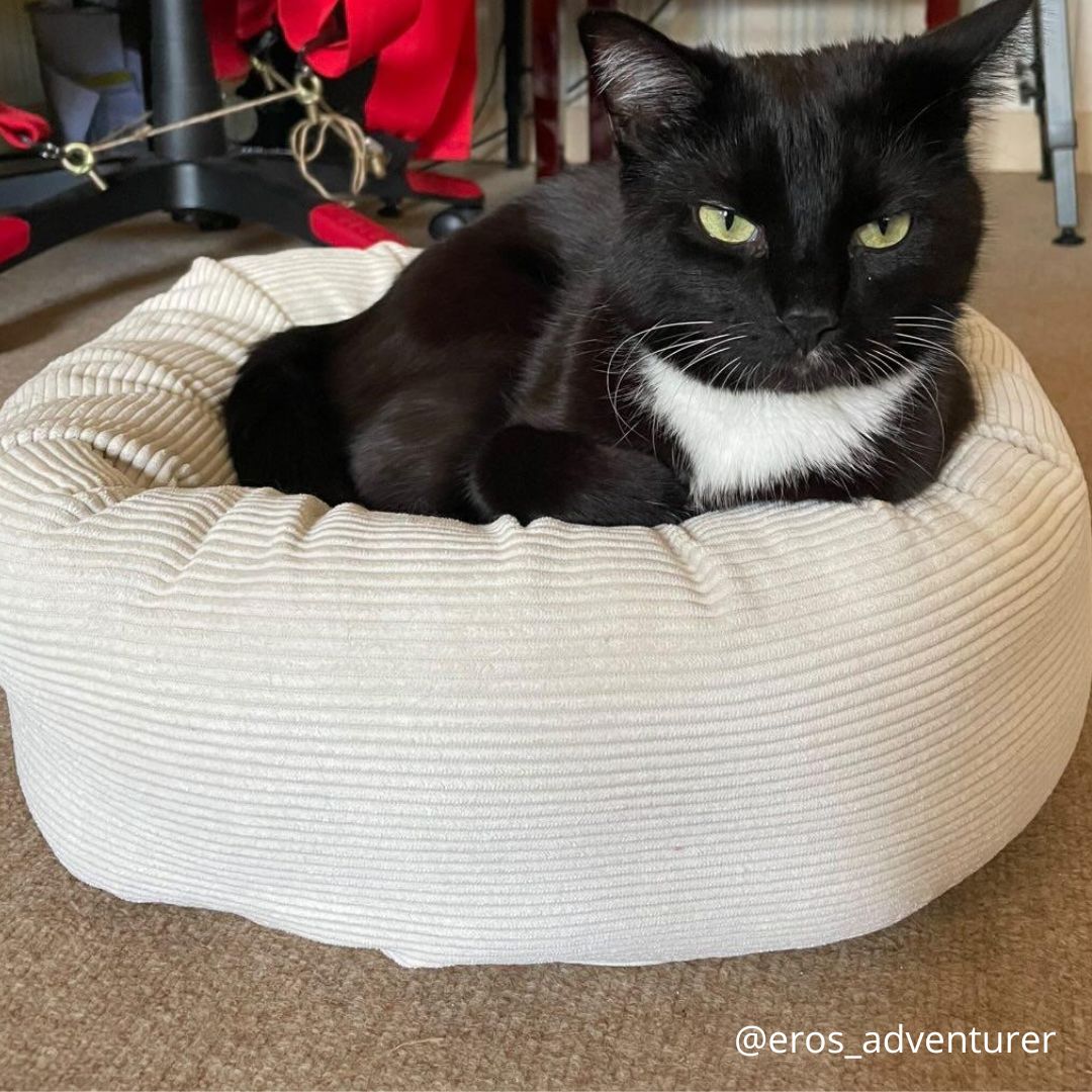 WATERDICHT koraal kikker kussen