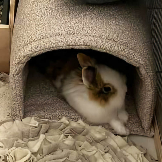 Tunnel imperméable - Velours alvéolé