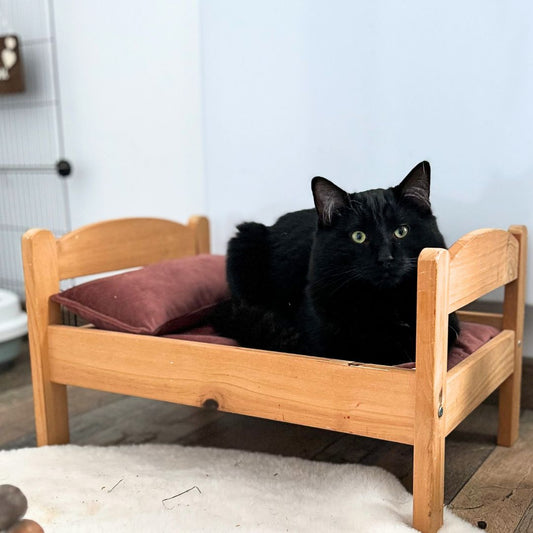 IKEA bed set - Cushion + Baby fruits waterproof mat