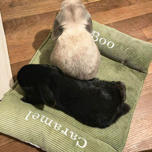 Coussin Grenouille imperméable DUO - Velours côtelé