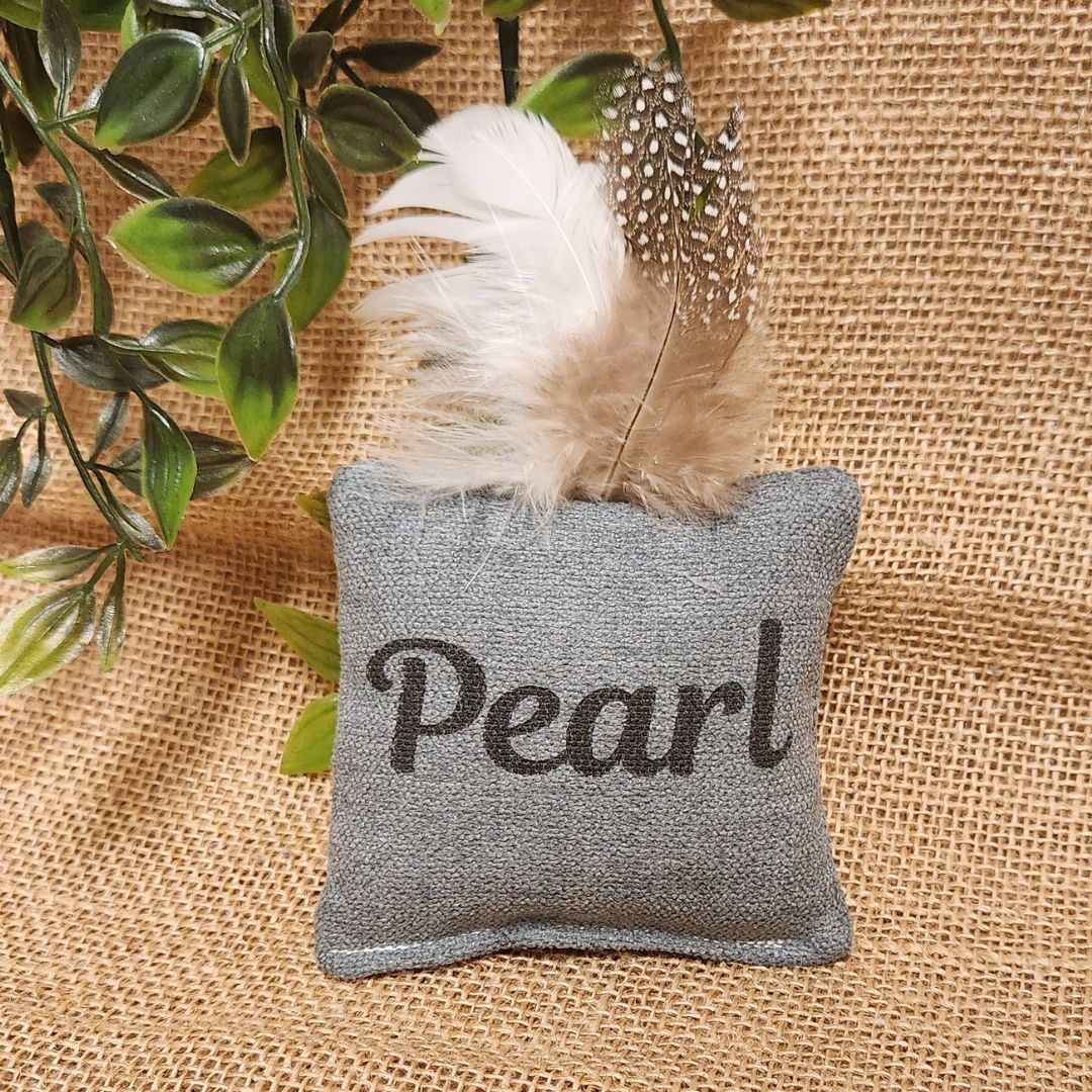 WATERPROOF Coral Frog Cushion
