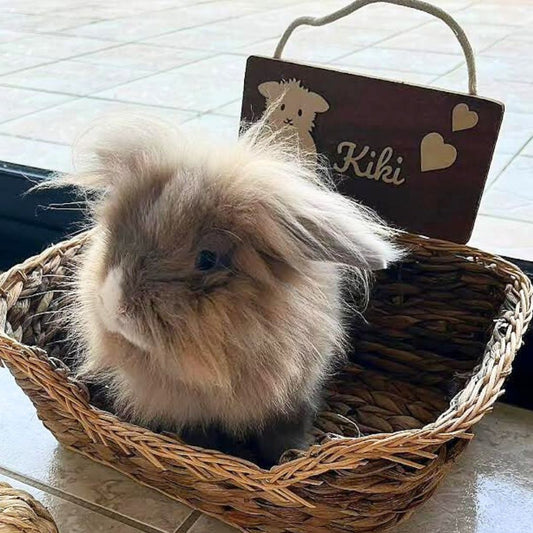 SOLO Personalized Rectangular Sign - Multiple Artwork Options (Dark Wood)