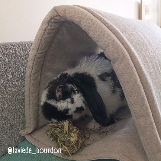 Tunnel imperméable - Lainage