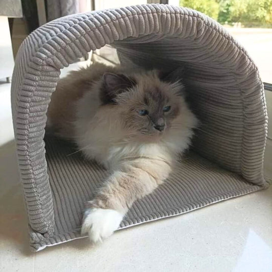 Tunnel imperméable - Velours cÎtelé