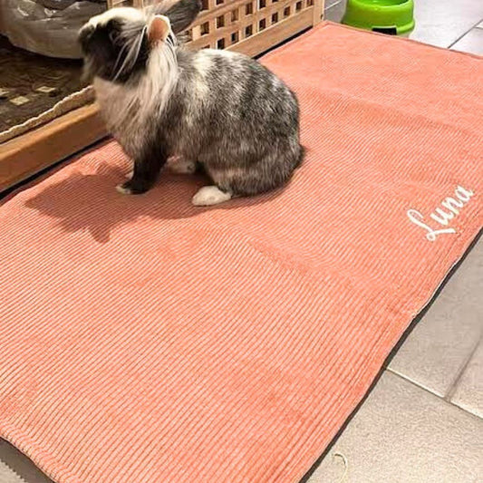 Tapis de sol IMPERMEABLE - Velours côtelé