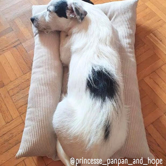 Coussin Grenouille en U Imperméable - SOLO