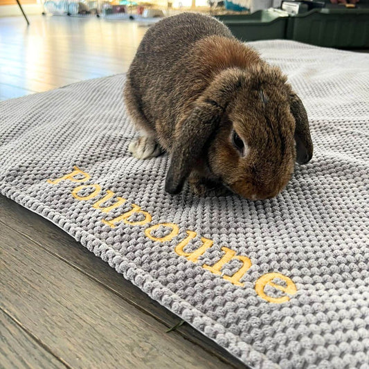 Tapis de sol IMPERMEABLE - Velours nid d'abeille