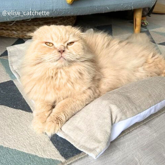 Coussin Grenouille - Spécial été - LIN naturel