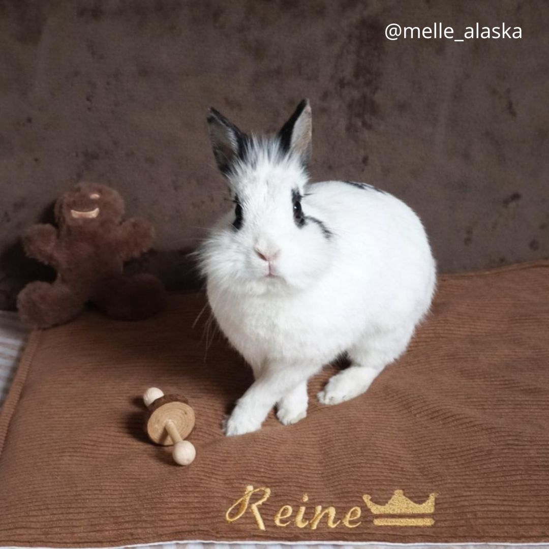 Tapis de sol IMPERMEABLE - Velours côtelé