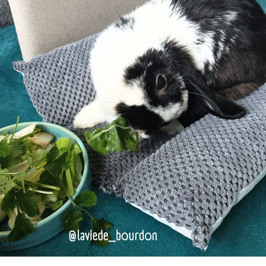 Coussin Grenouille Imperméable SOLO - Velours nid d'abeille