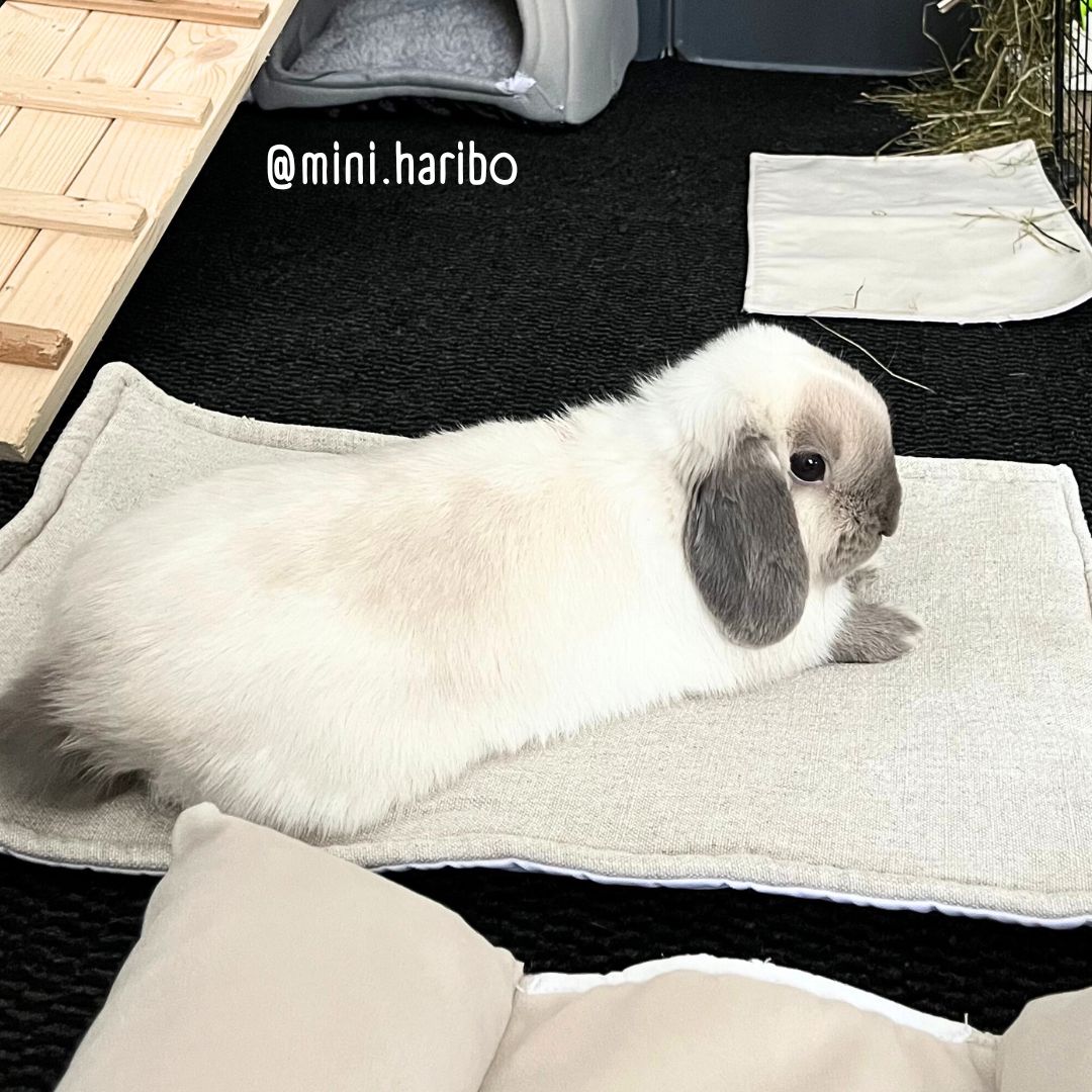 Tapis de sol spécial été - LIN naturel